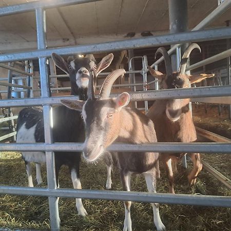 Landhotel Hinteraigengut フラッハウ エクステリア 写真